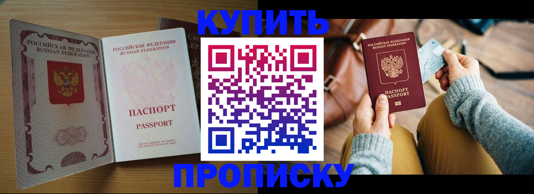 прописка поиск в Щёлково