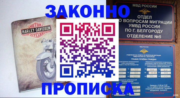 прописка для школы в Щёлково